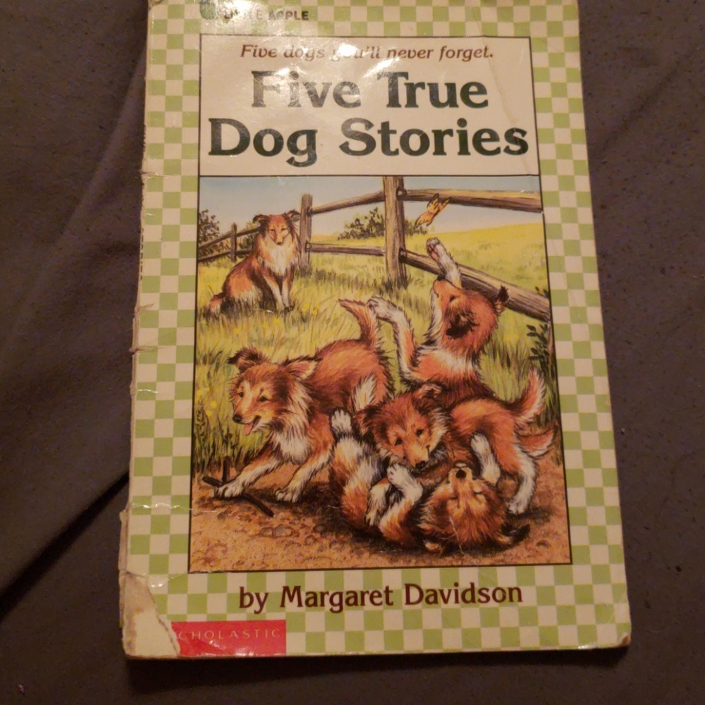 Children's Book Lot